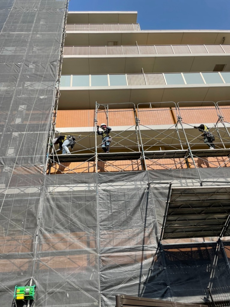 春！！新年度スタートです！